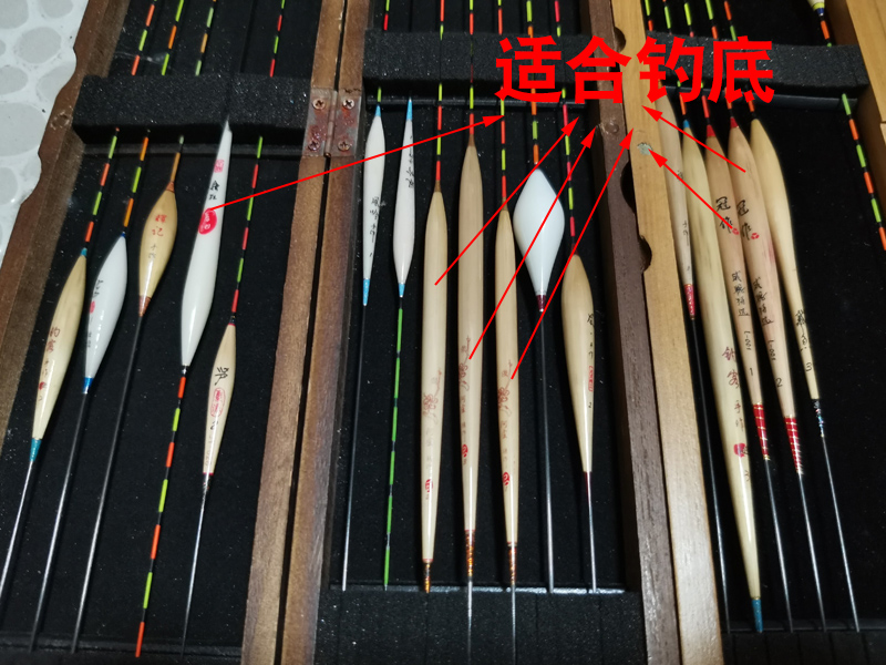 黑坑钓罗非鱼攻略技巧值得一看,黑坑钓罗非没口怎么应对