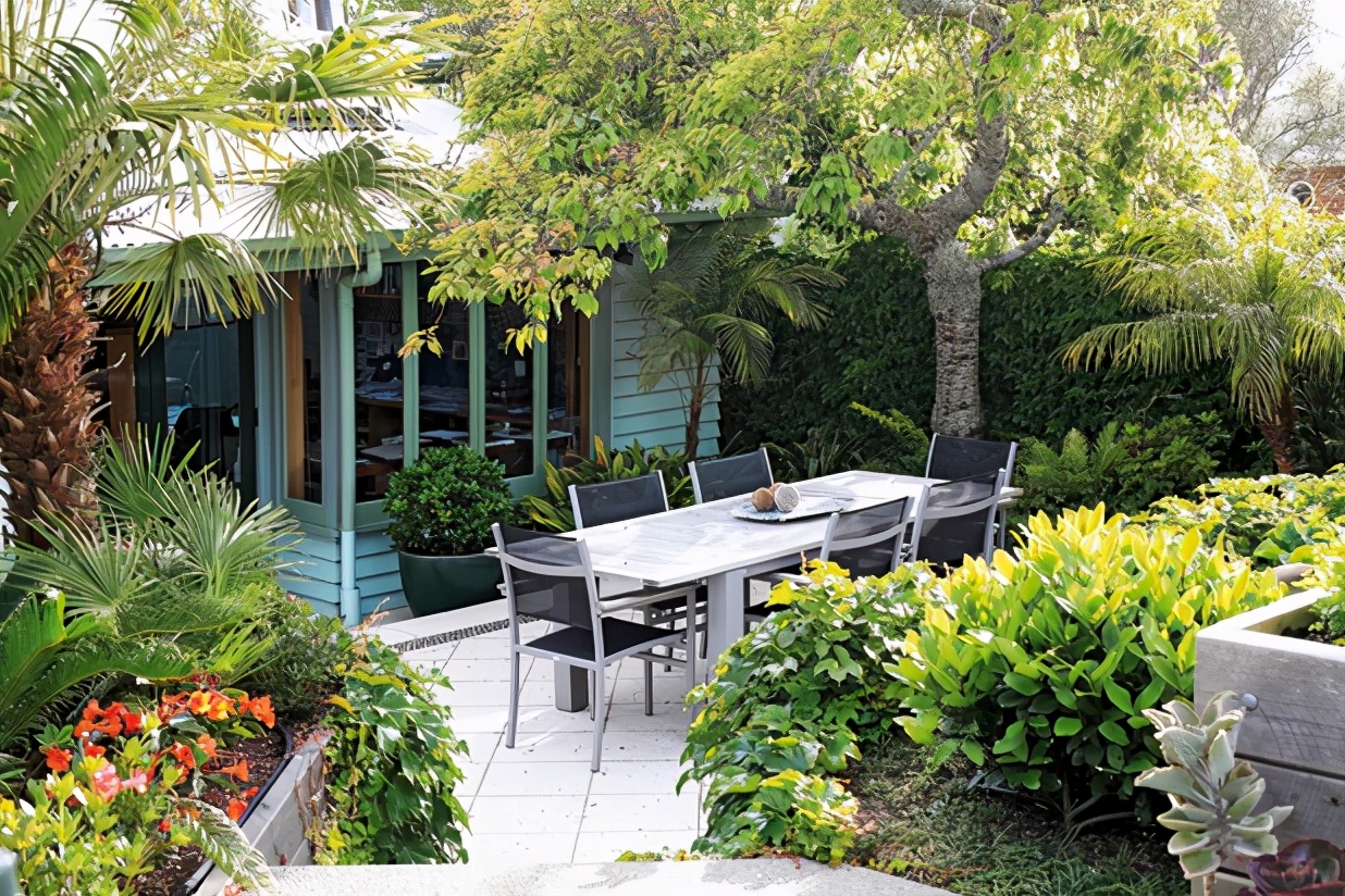 在新西兰奥克兰生活,在新西兰生活的优势