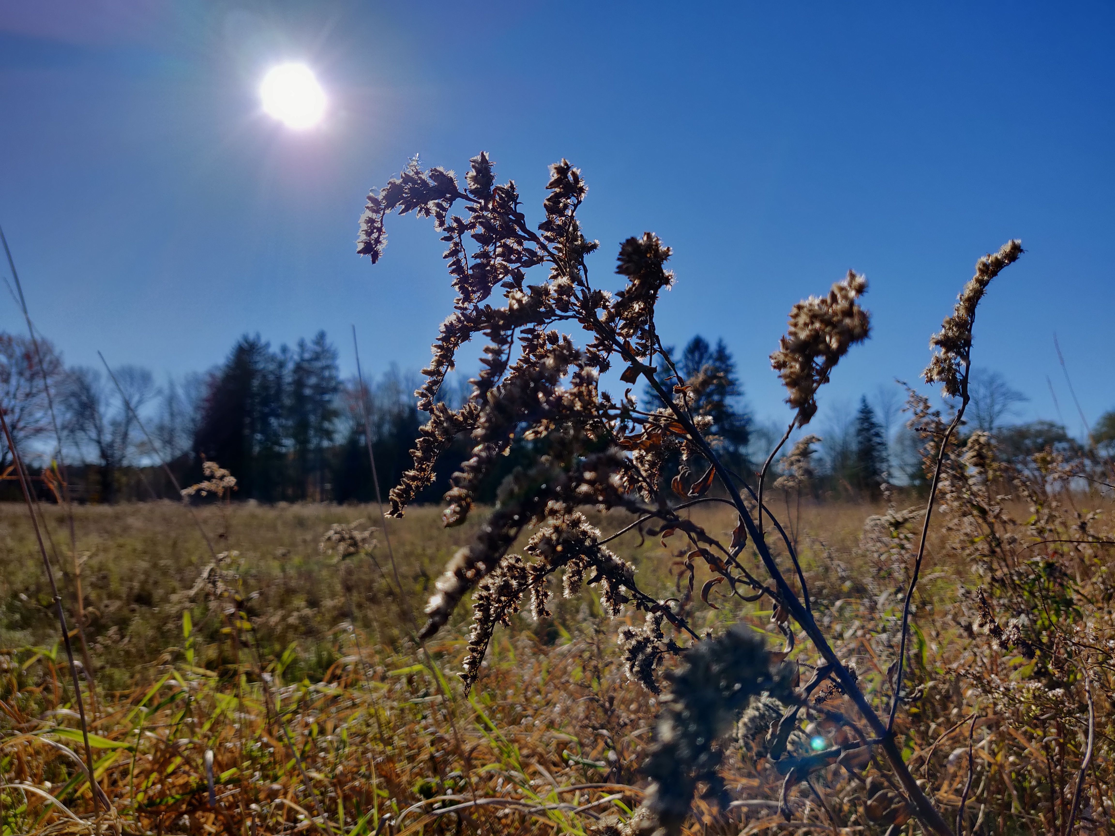 一加6t深度测评优缺点,一加6t旗舰版评测