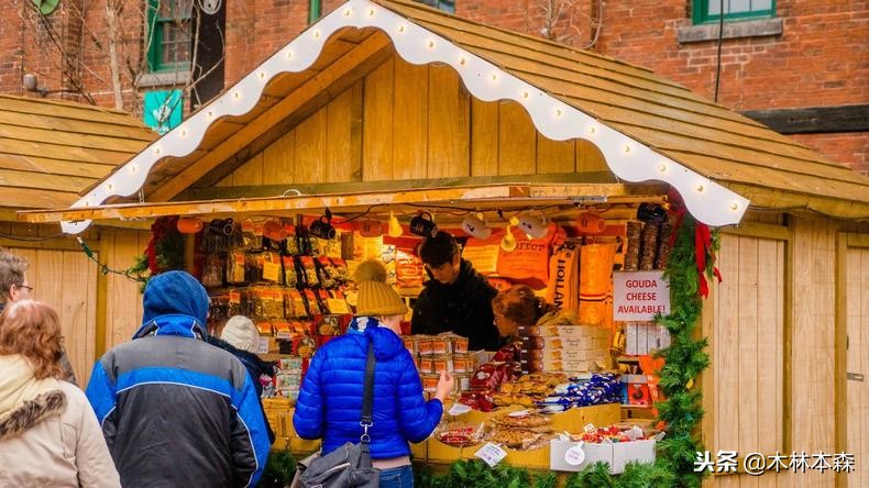 加拿大多伦多生活日记,加拿大多伦多留学生活纪实