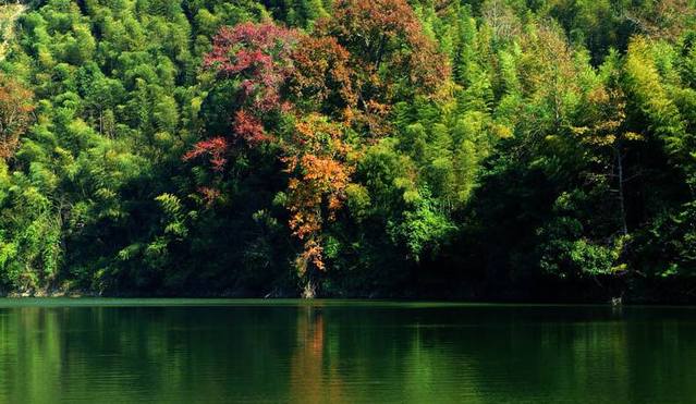 绥宁中华杂交水稻第一县,湖南溆浦超级杂交水稻基地在哪