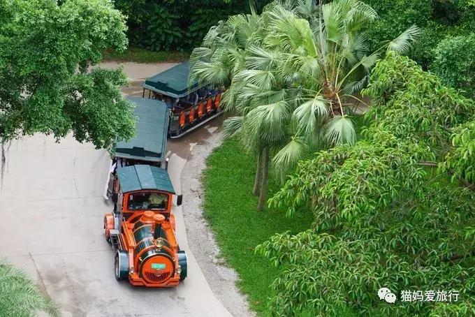 广州长隆野生动物园全程步行攻略,2天游玩广州长隆野生动物园攻略