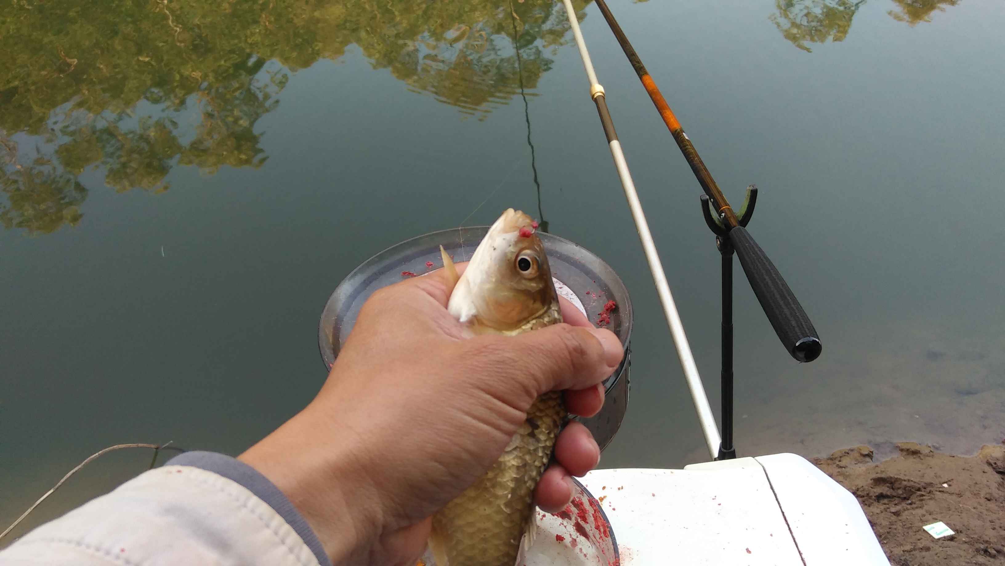 7号钓鱼钩子选择,钓钩7号跟12号怎么选