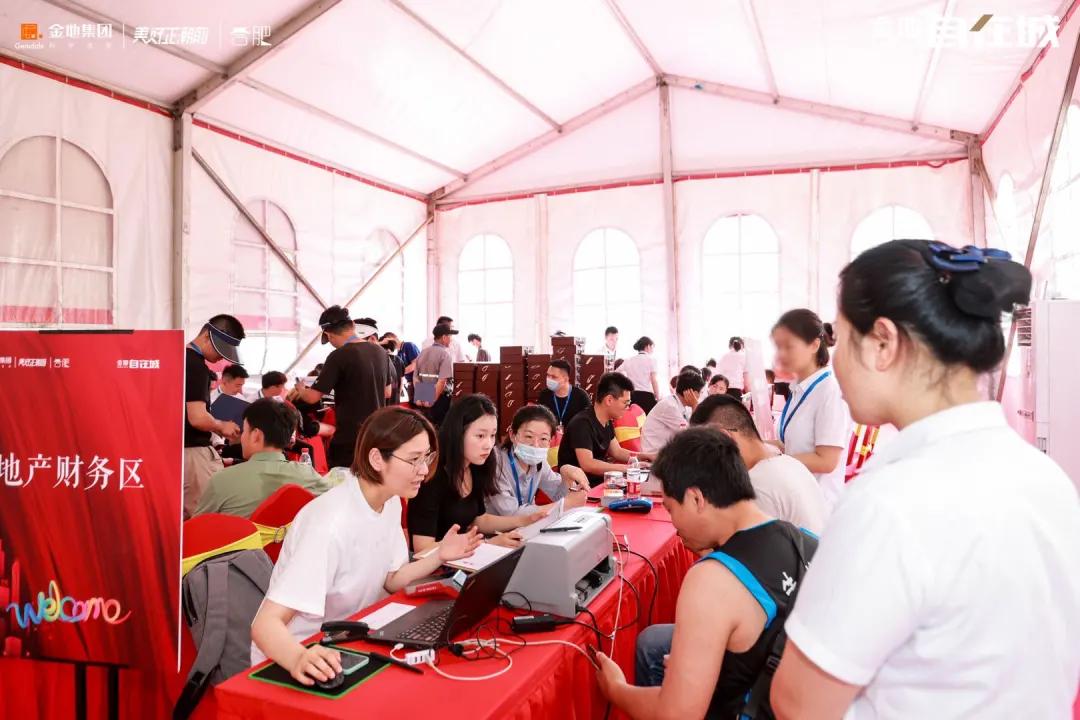 合肥滨湖荣盛华府交付质量,合肥滨湖荣盛集团开发楼盘