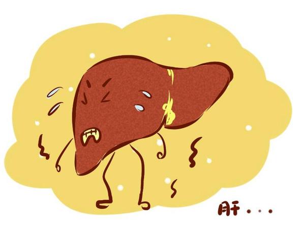 尿液特别黄和肝脏有关系吗,尿液很黄是排毒素吗