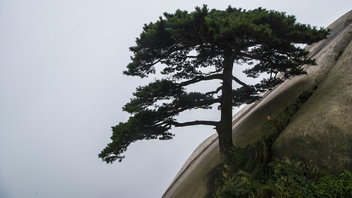 安徽天柱山云雾缭绕人间仙境,安徽天柱山神秘谷