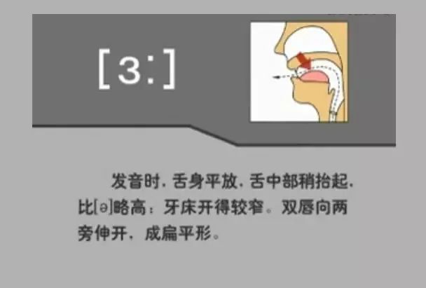 英语音标48个快速记,英语48个音标顺口溜视频教程