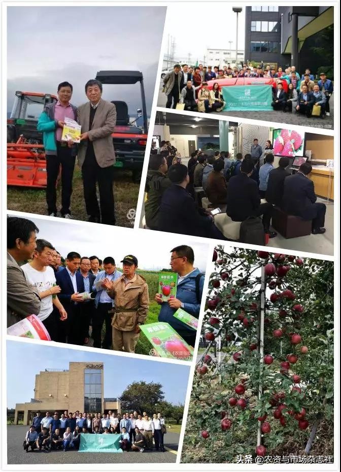 日本农业成功的主要经验,中国和日本农业差距50年