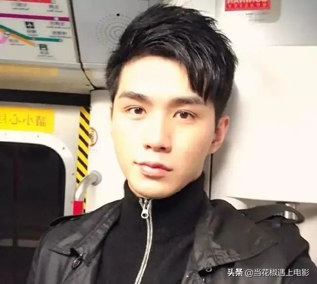 鳌拜王俊棠的儿子,王俊棠鳌拜