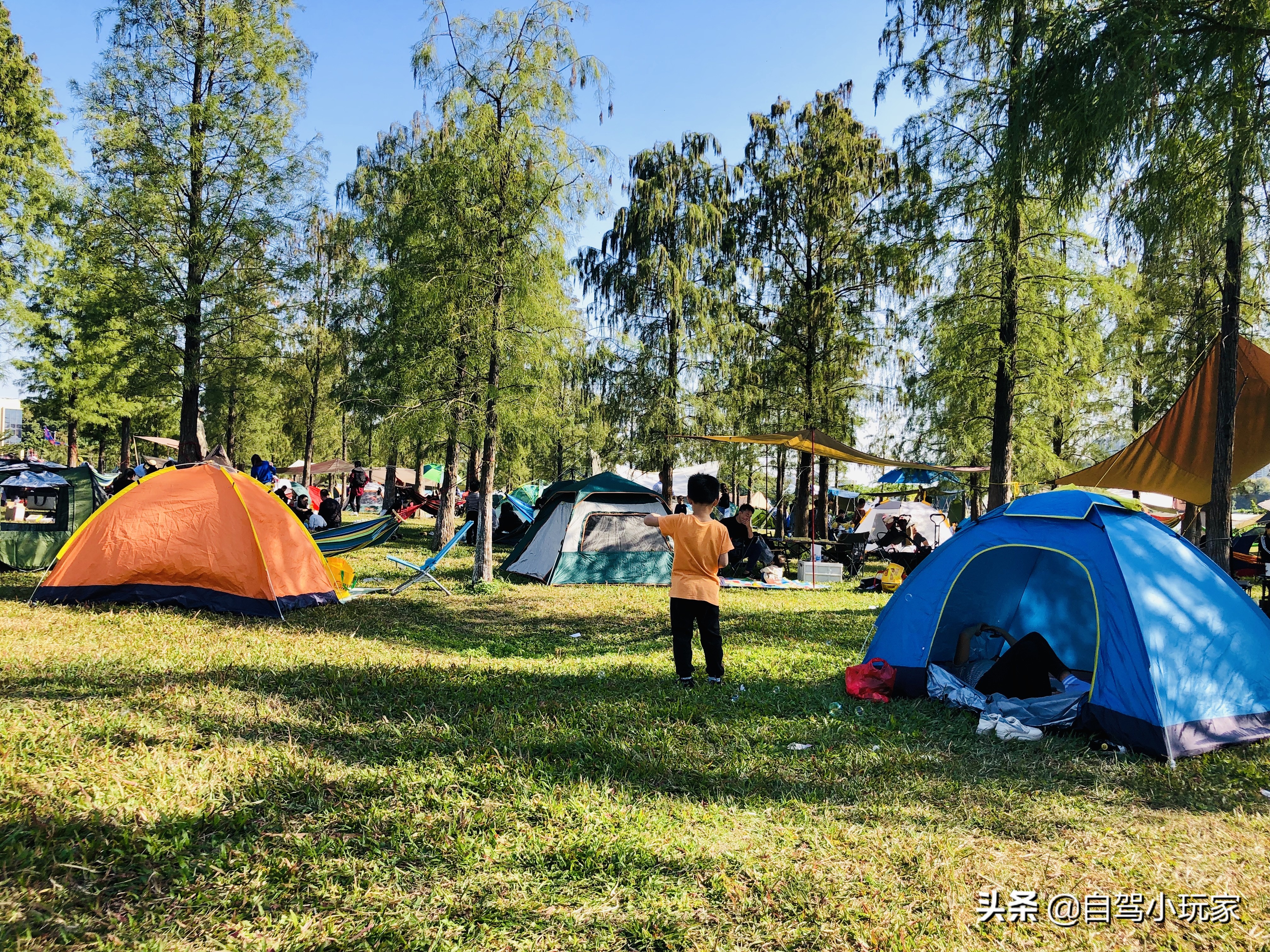 广州有哪些好玩又不晒的地方,广州周边无人海岛露营地点推荐