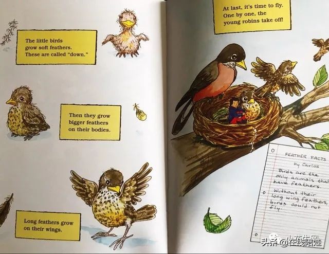 少儿英语启蒙必背,启蒙英语早期篇