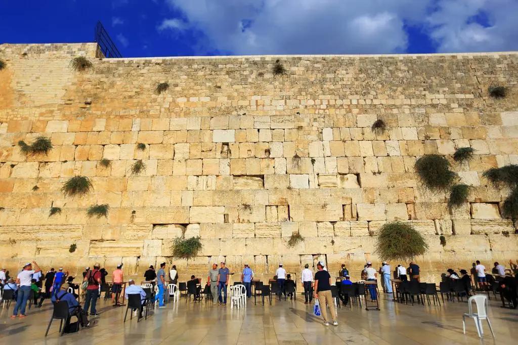 就业率超90%！外交部、新华社齐来抢人！这个被央视聚焦的专业火了！