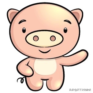 63年女兔2019全年运势和运程,十二生肖2019年运势及运程完整