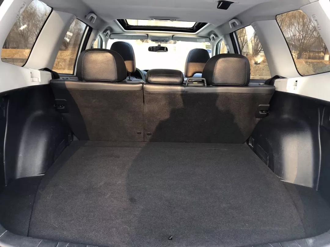 偷吃的后果视频,斯巴鲁森林人着不住火