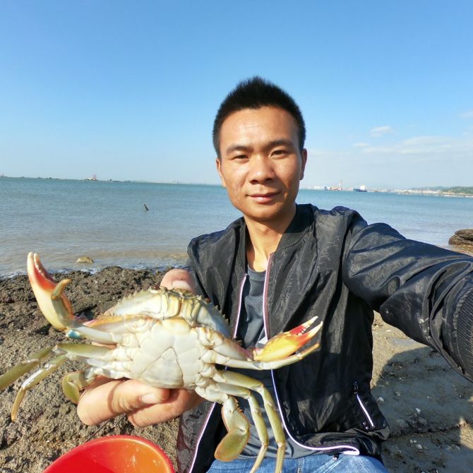 海上直播赶海视频,山东海阳赶海直播