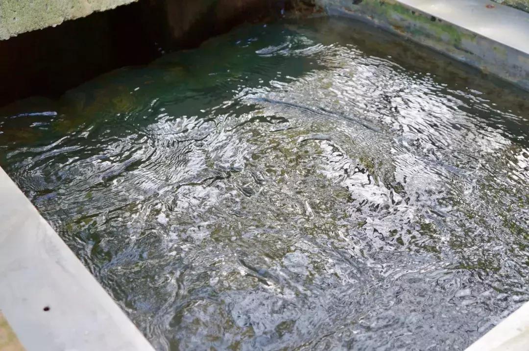 浦华水务是干什么的,三峡浦华水务有限公司