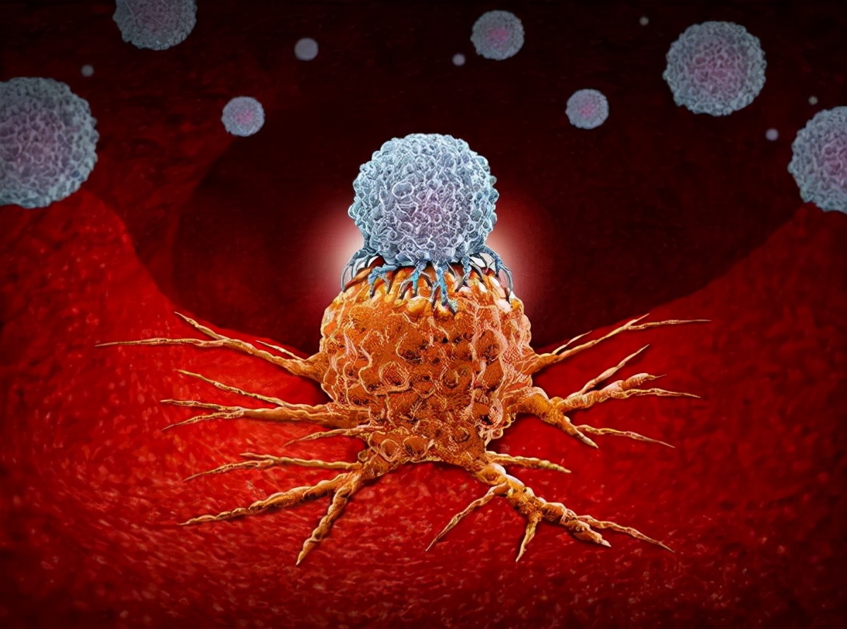 癌症患者用靶向药意味着什么,癌症患者用靶向药最后还会受罪吗