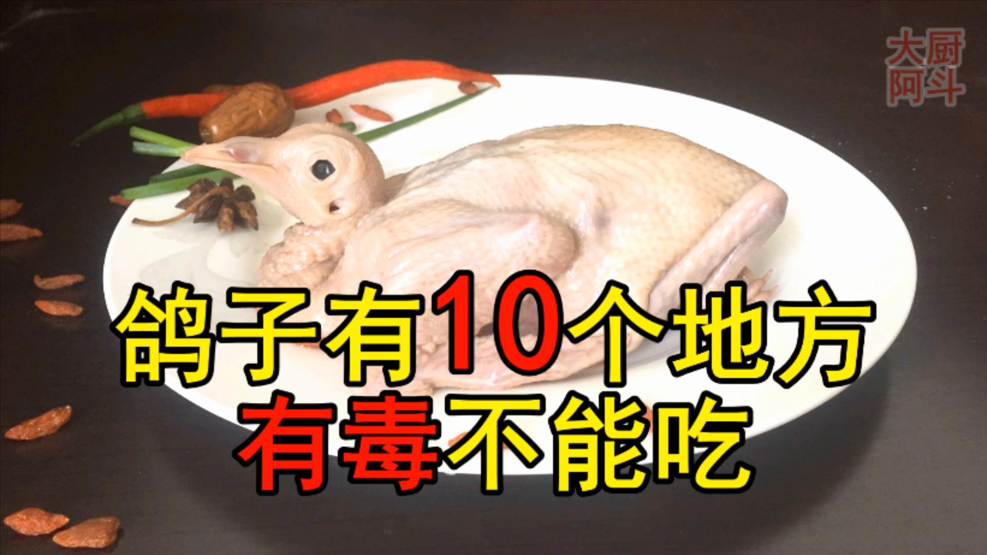 鸽子十大毒素排名,鸽子的毒素在哪里