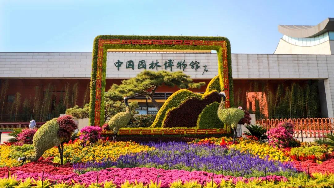 2020丰台文化和旅游消夏季活动正式启动！5条线路，游园、嬉水、赏花、亲子、夜游，全都有！