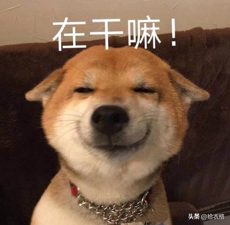 张子枫欧阳娜娜穿衣,欧阳娜娜卖的衣服