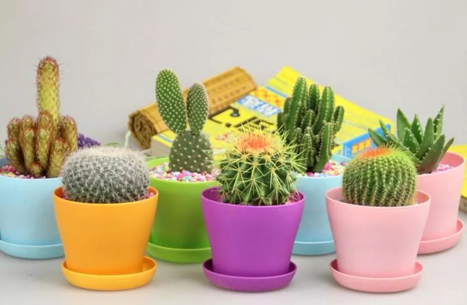 房间里湿气太重怎么办,房间湿气太重用什么除掉