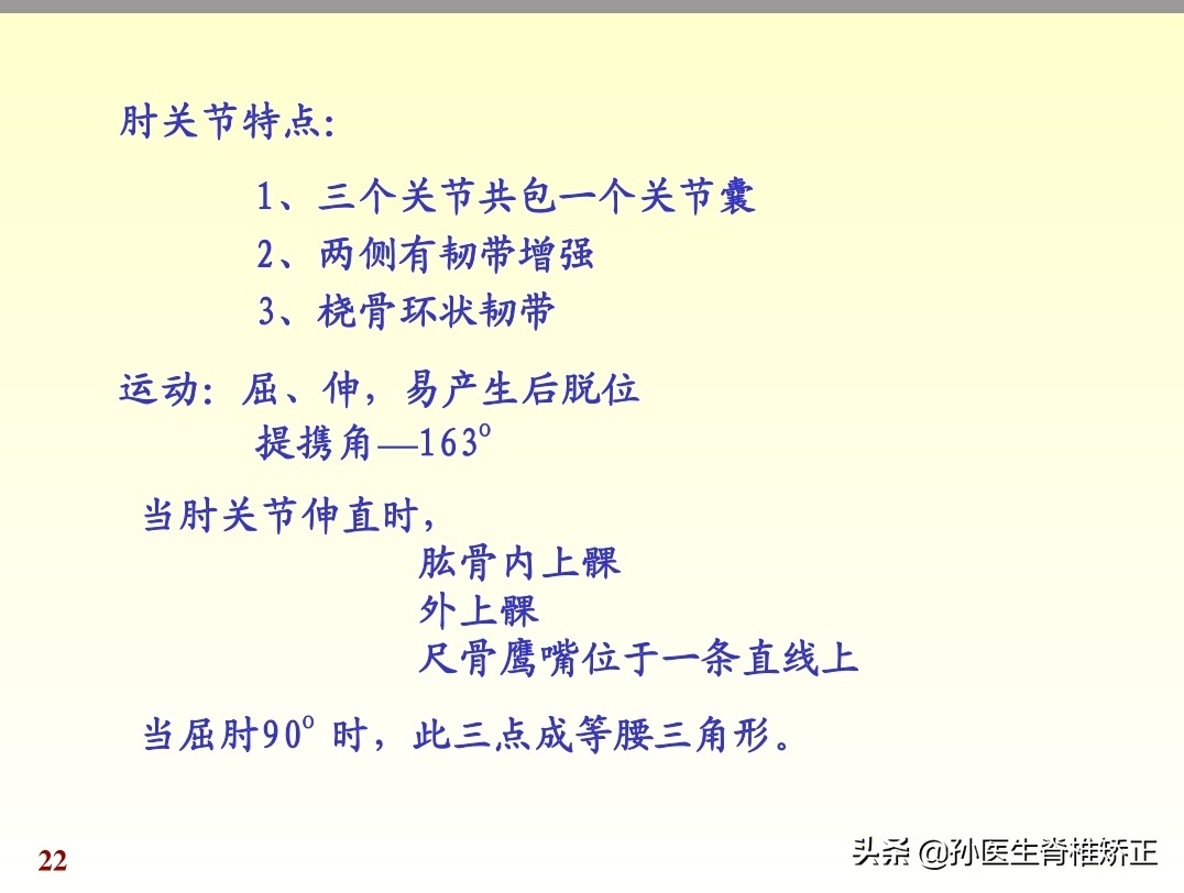 人体解剖学课件ppt,人体解剖学关节学