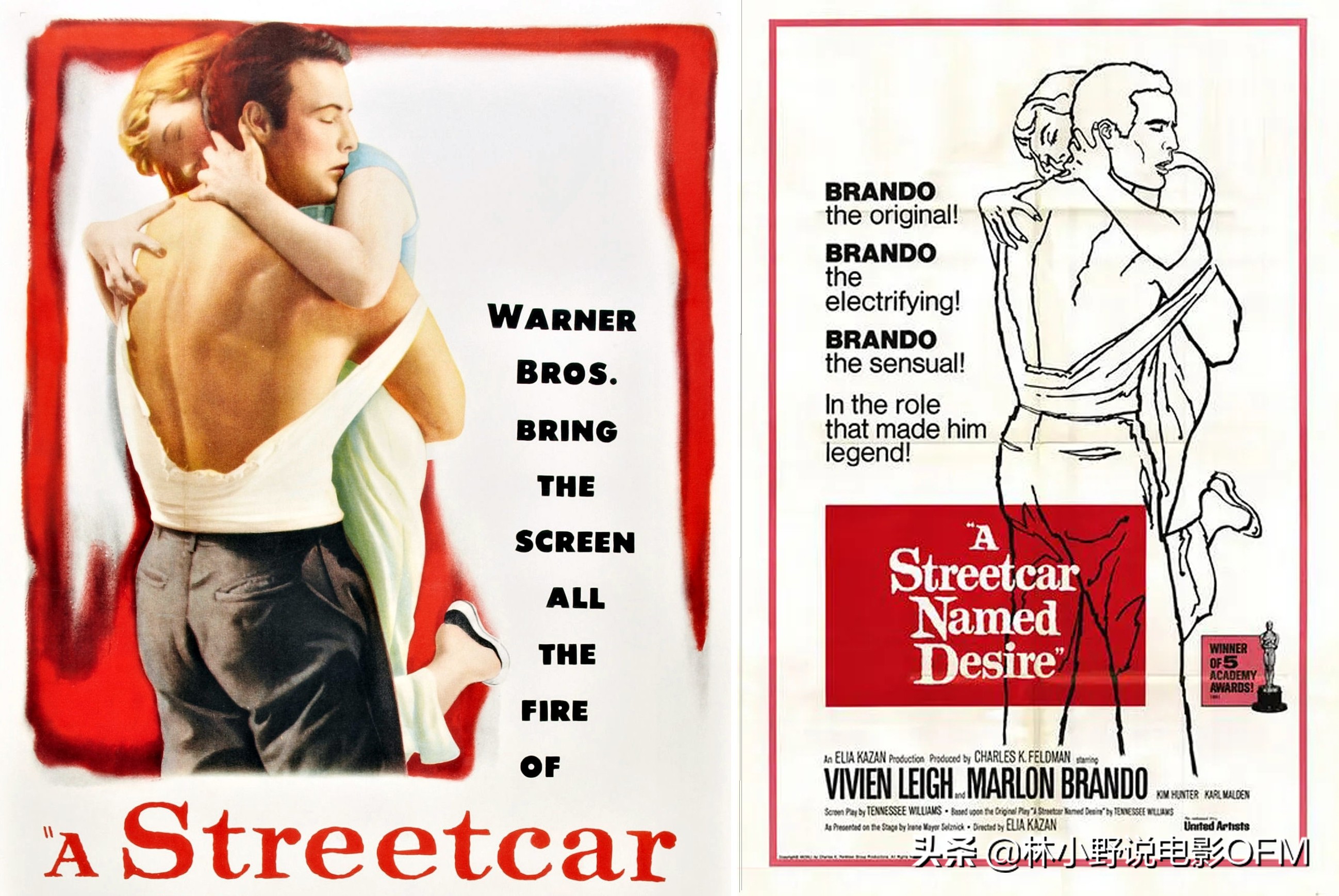 马龙白兰度费雯丽关系,马龙白兰度费雯丽合照