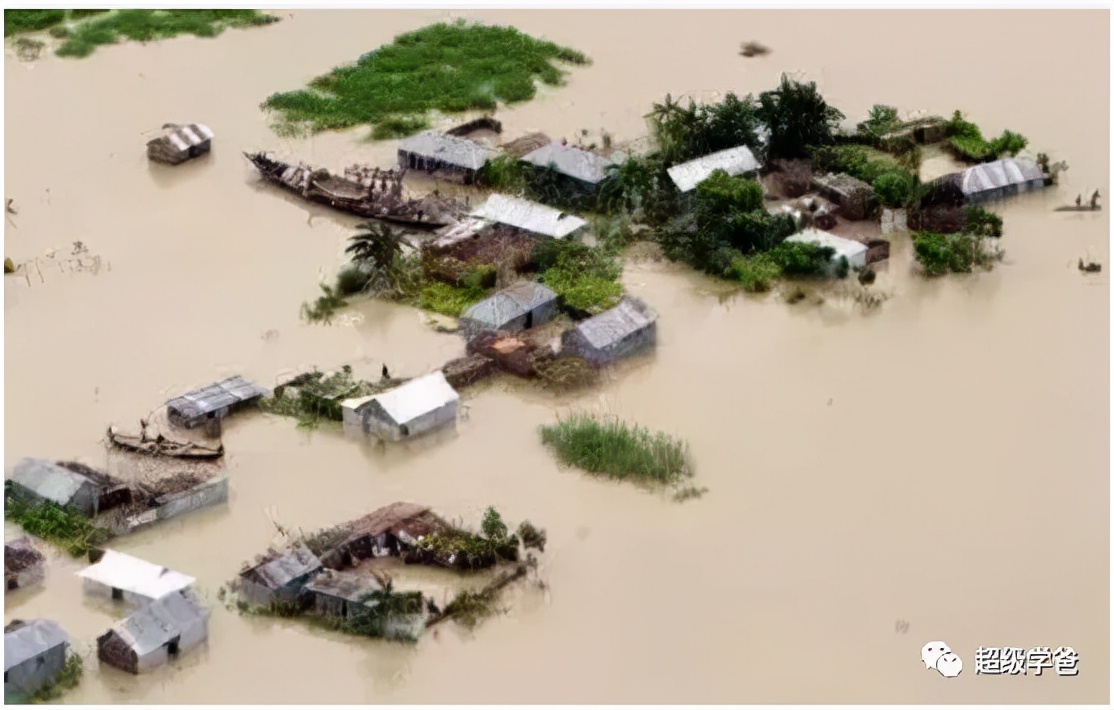 带你走进山西洪洞大槐树,山西洪洞大槐树背后的故事