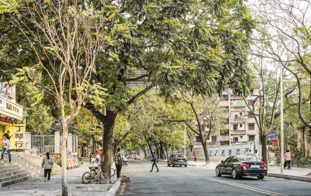 鍚庡北缈犵,姹熷哺缈犵