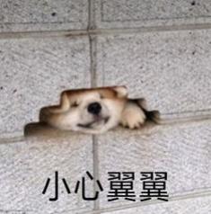 房产证丢了办复印件有用吗,注意了房产证写谁的名都没用