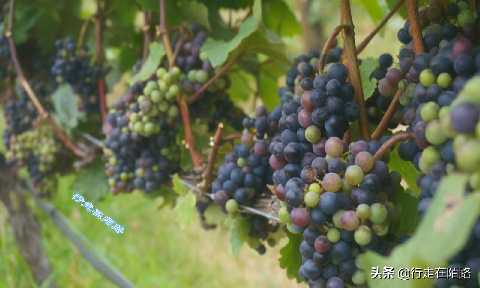 中东最富裕的城市,亚洲生活成本最低城市