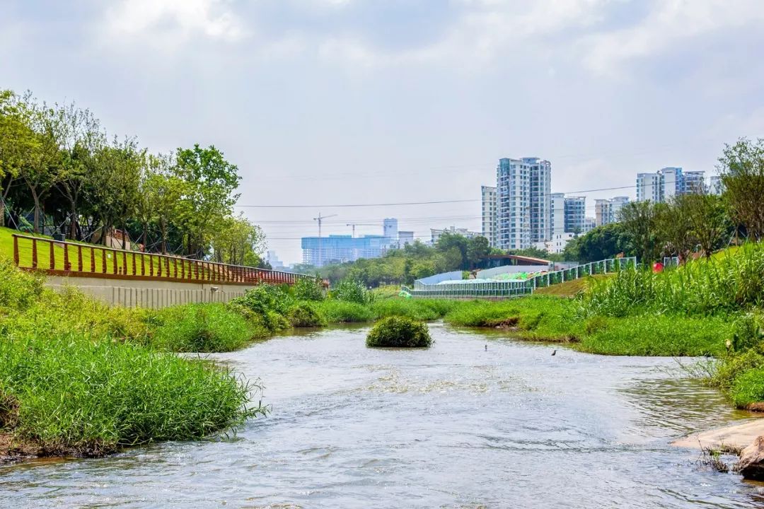 盼了1年！南山新地标“塞纳河”惊艳露面