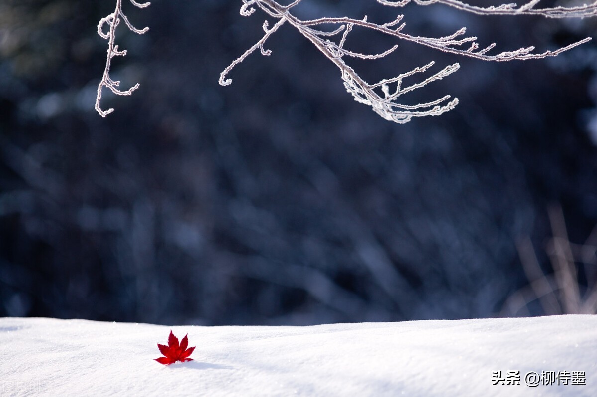 摄影新手如何拍摄照片教程,新手学习摄影入门第一步