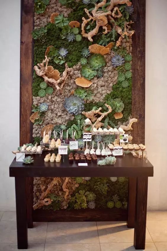 置爱｜植物1.0是种在盆儿里的，植物2.0都趴在墙上的