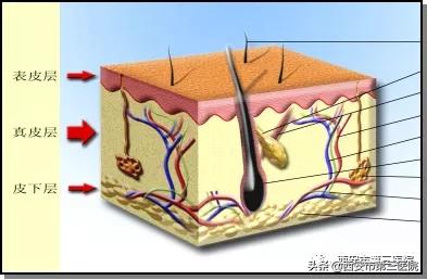 紧致肌肤的微针,淡化细纹微针
