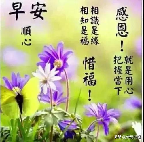 每天问候早上好祝福语短句,早上好祝福问候语大全简短暖心