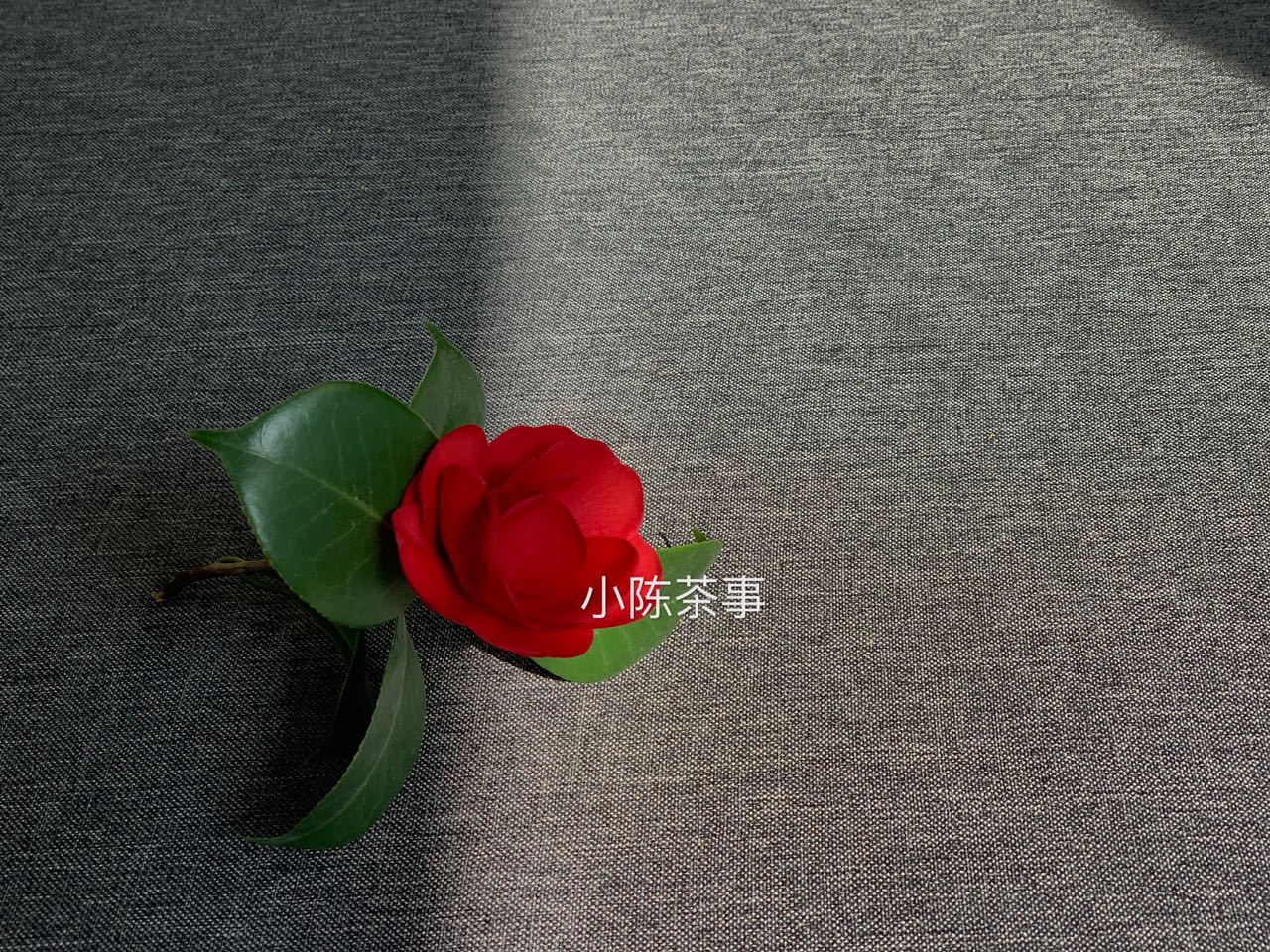 武夷岩茶大红袍茶叶如何冲泡,武夷岩茶大红袍的正确冲泡方法