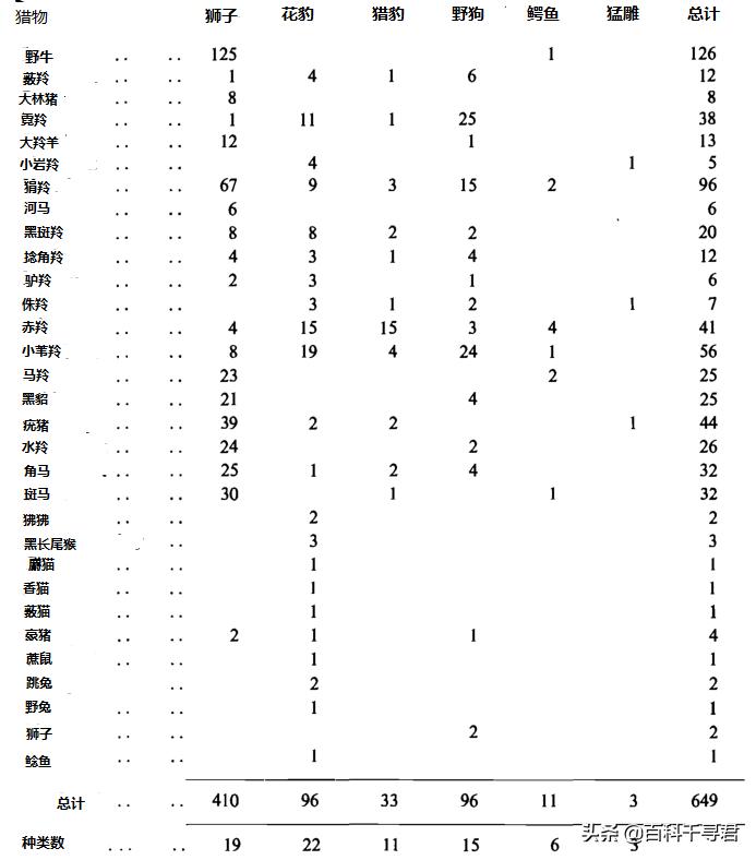 蜜獾不怕毒蛇吗,蜜獾无所畏惧