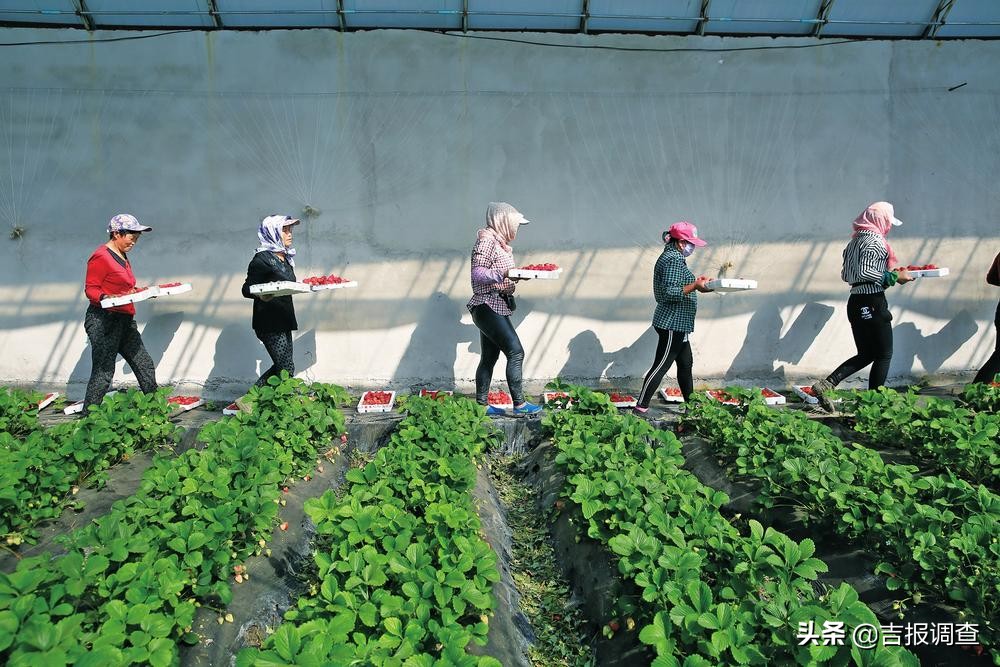 有图有真相的攻略,有图有真相逆战