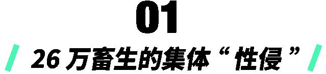 韩国N号房事件背后：74名少女的炼狱，26万畜生的狂欢