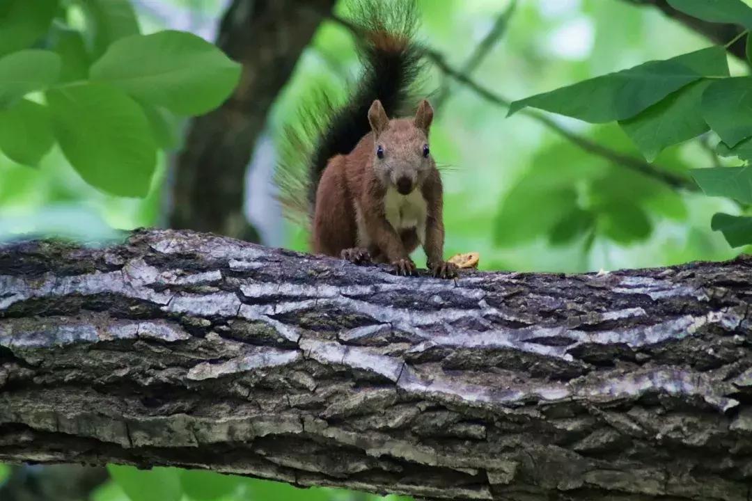 临朐石门坊风景区路线,临朐石门坊风景区