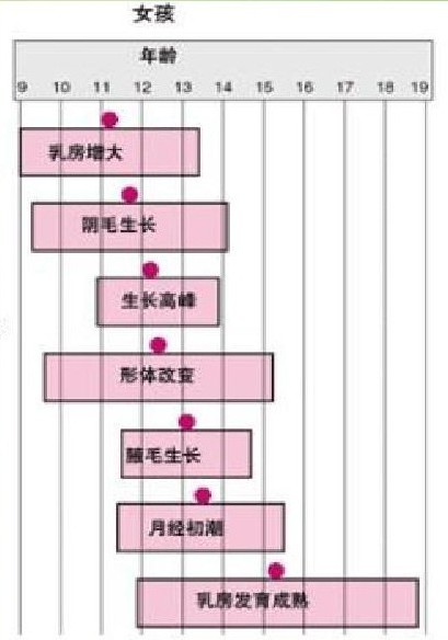 青春期身体上的烦恼视频,青春期的成长烦恼