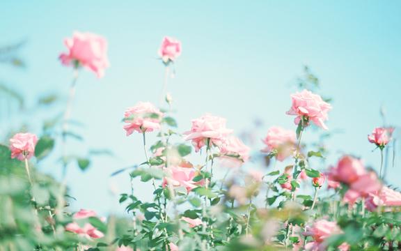 公司要求员工转发朋友圈怎么办,公司强制员工转发朋友圈去哪投诉