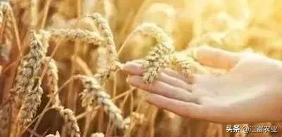 承包100亩农业土地国家有啥补贴,河南省农业土地承包补贴政策