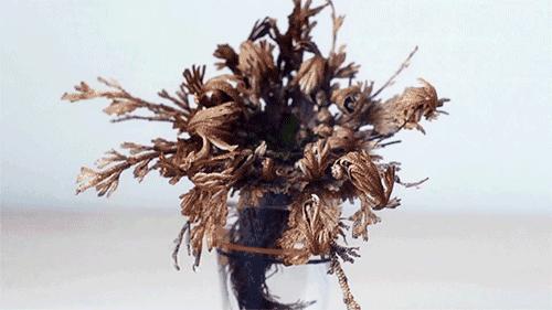 日本代购药妆必买好物,日本药妆最新货