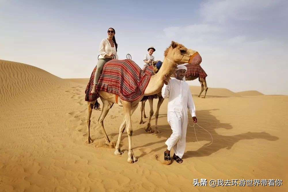 霸气的外貌下有个温柔的内心,霸气的背后隐藏着温柔和可爱