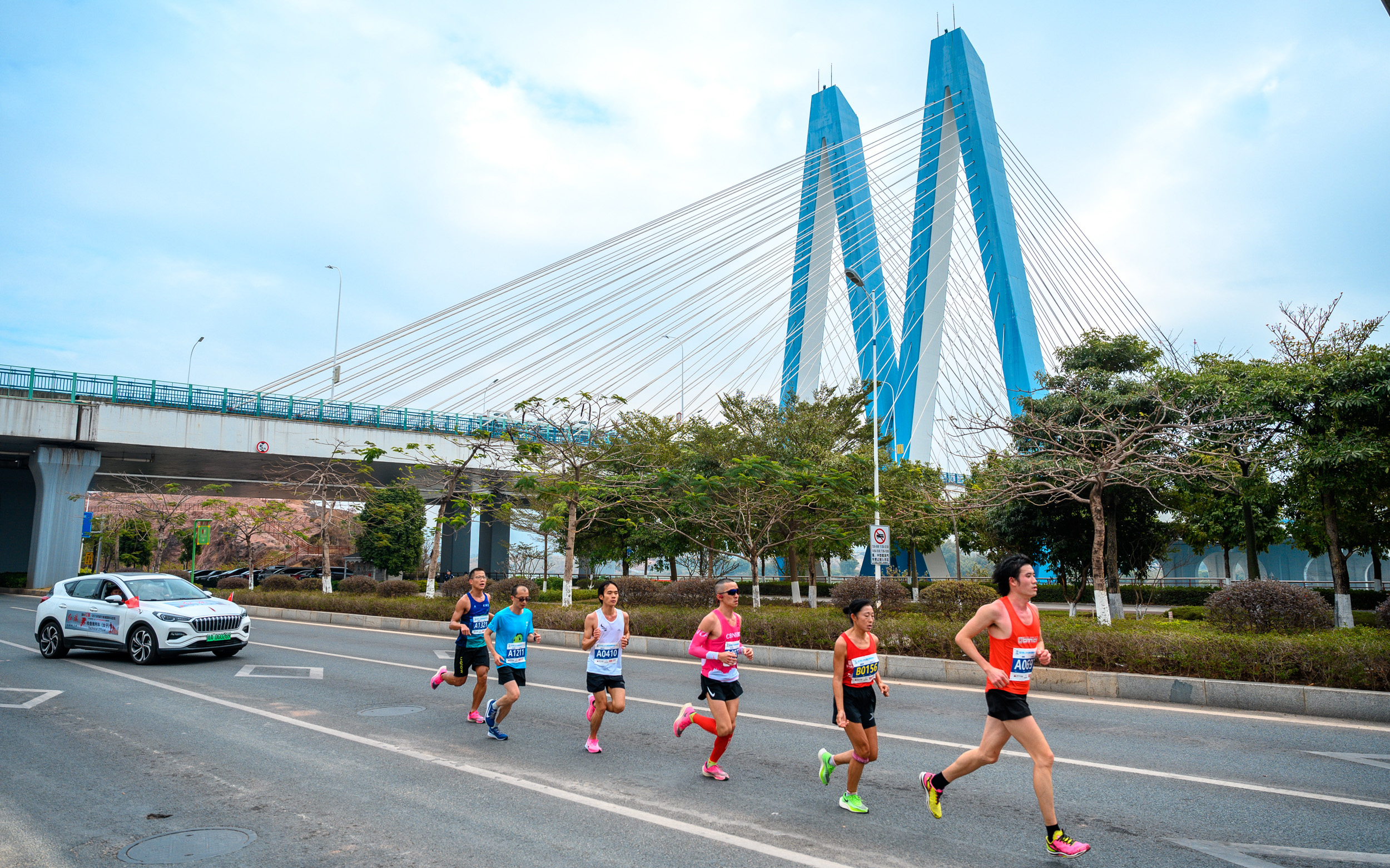 河源马收官，博润2019“十全十美”，2020更可期