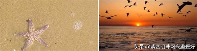 日照吴家台值得推荐的渔家乐,换一个角度感受生活中别样的美