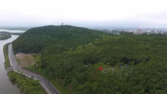 鸡血石与田黄石的结合,硬田黄石与田黄石