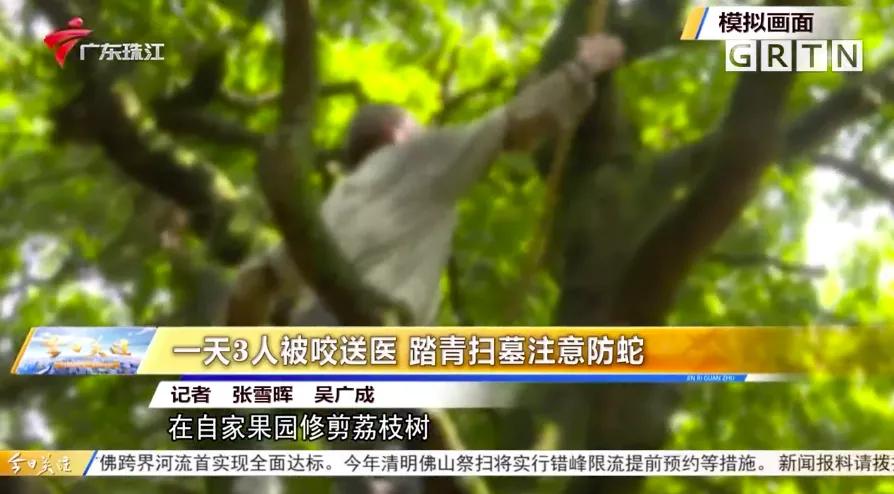 深圳毒蛇分布 (毒蛇高发地区)